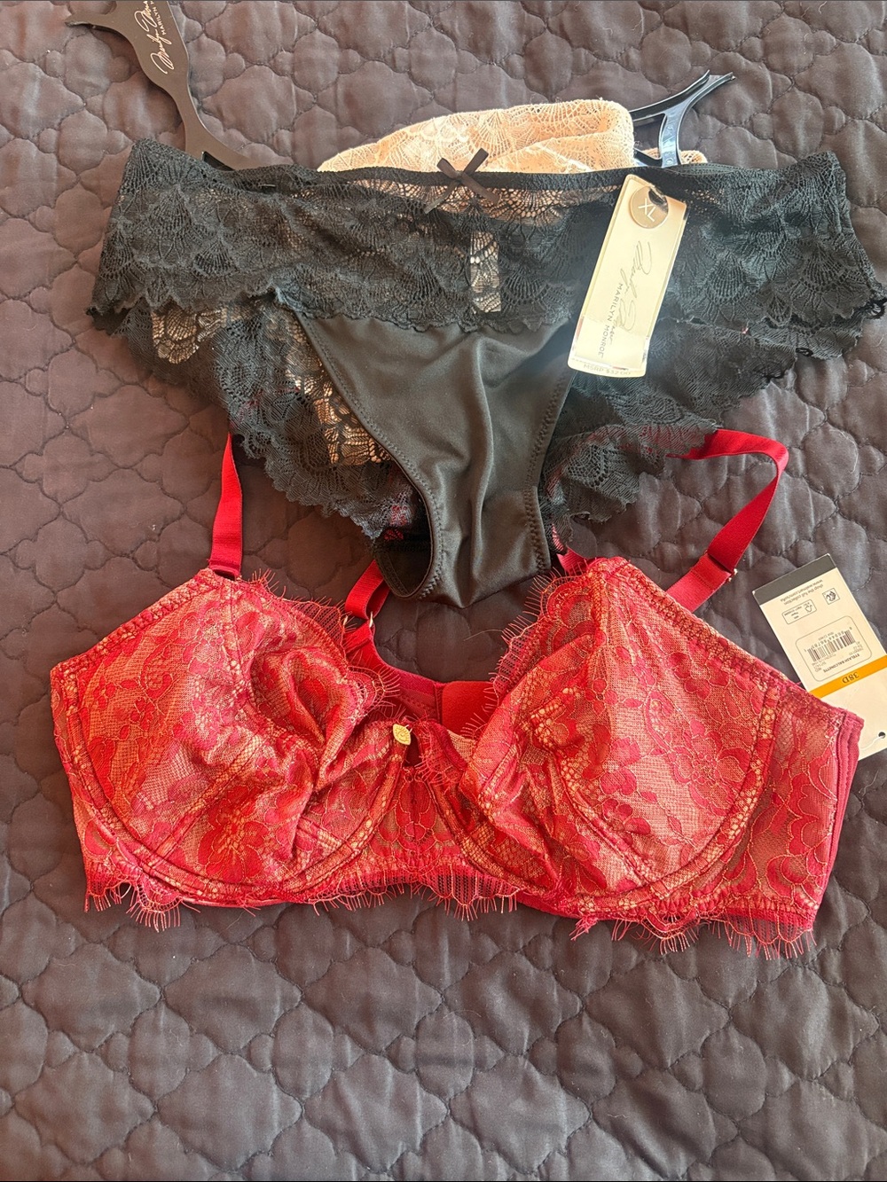 Red Lace Underwire Bra and Black Lace Bikini Briefs - Elegant Intimates Set